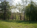 IMG_7173.JPG