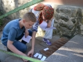 кветк29