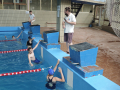 IMG_20240703_110701