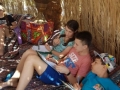 viber image 2019-03-26 , 17.11.16